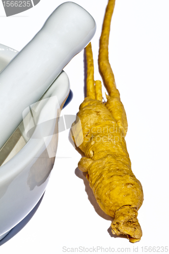 Image of ginseng root and mortar