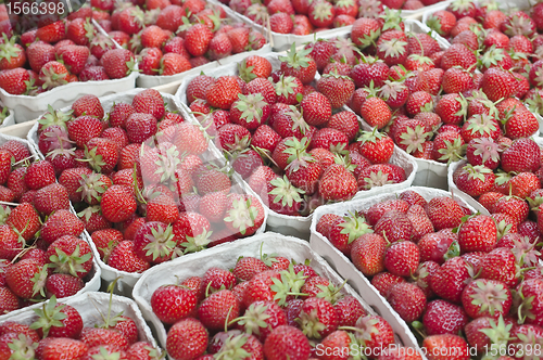 Image of strawberry