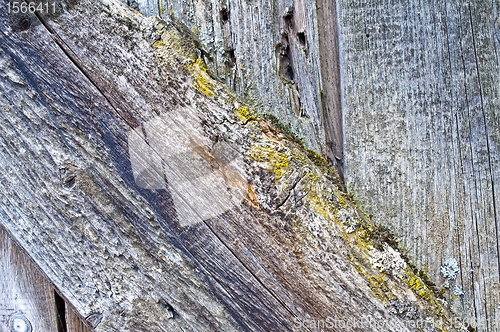 Image of plank