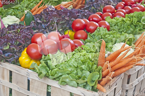 Image of vegetables fresh mixed