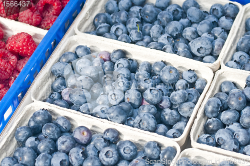 Image of blueberry