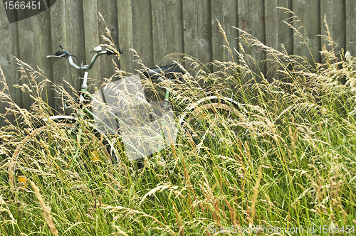 Image of bicycle hidden in grass