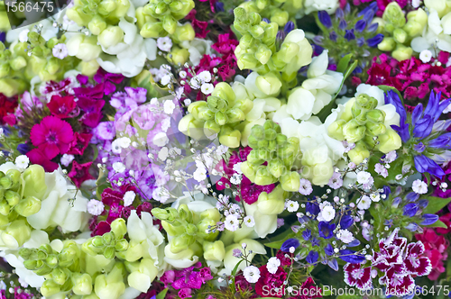 Image of flowers at a farmer`market