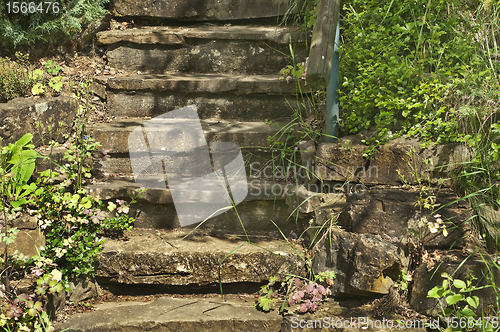 Image of stairs with flowers