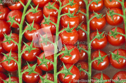 Image of tomato 