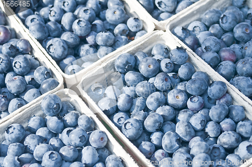 Image of blueberry