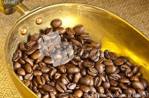 Image of coffee beans 