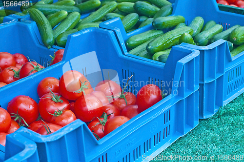 Image of tomato and cucumber
