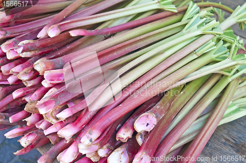 Image of rhubarb