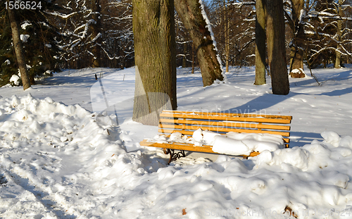Image of Yellow park bench covered with snow in winter 