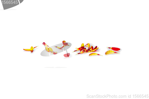 Image of Orange Gerbera petals