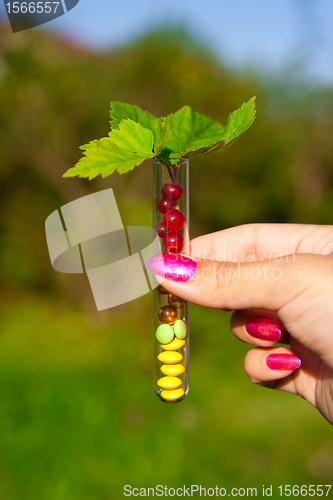 Image of test tube with tablets, berries and plant