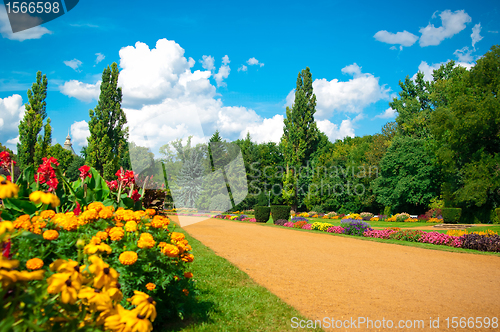 Image of Garden of flowers