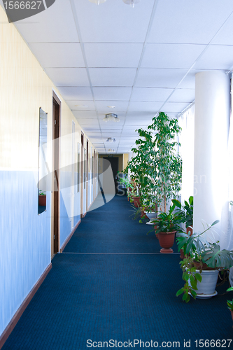 Image of Hotel Corridor