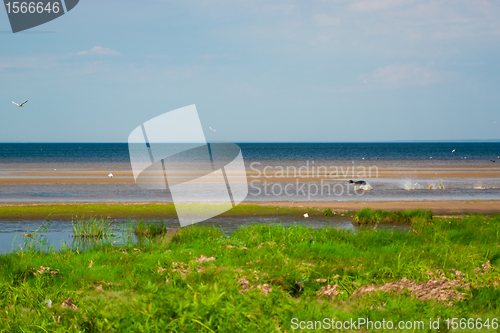 Image of the Gulf of Finland