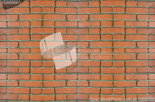 Image of Brick Wall Texture