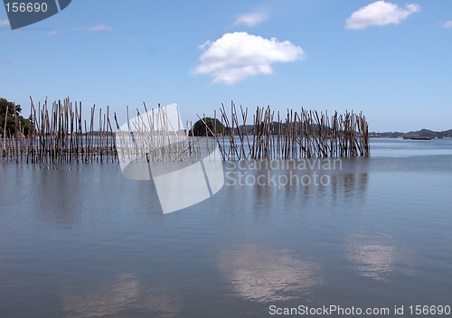 Image of Fishing landscape