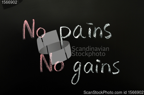 Image of No pains, no gains