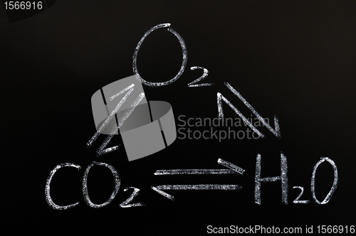 Image of Interaction of oxygen,carbon dioxide and water