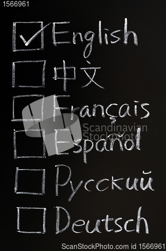 Image of Check boxes of different languages