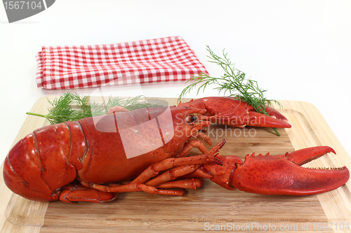 Image of lobster