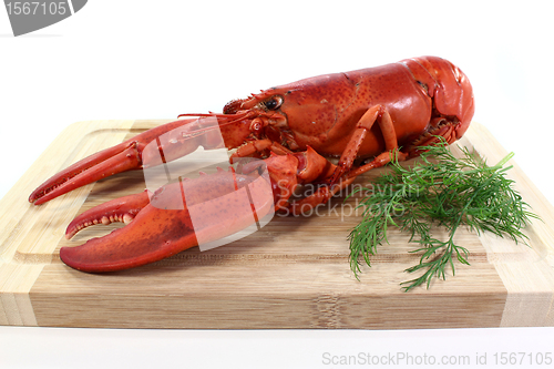 Image of lobster