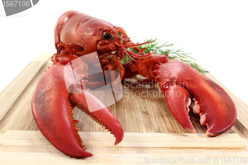 Image of lobster