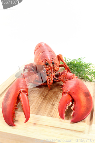 Image of lobster