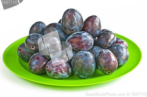 Image of damson