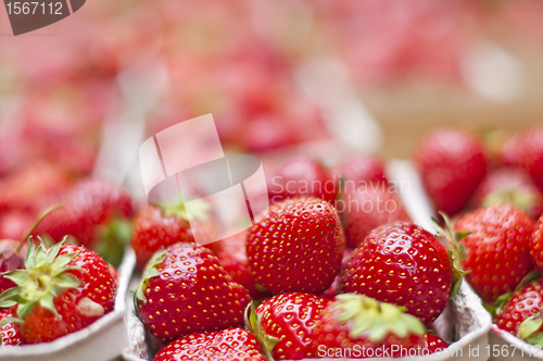 Image of strawberry