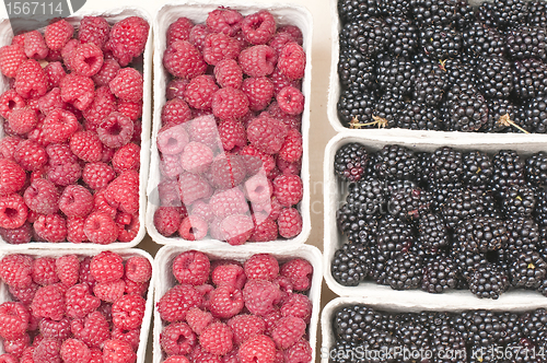 Image of raspberry and blackberry