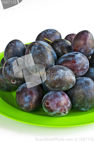 Image of damson