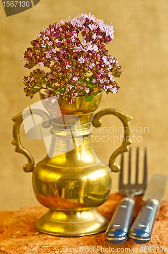 Image of thyme
