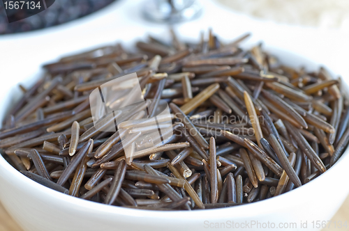 Image of wild rice