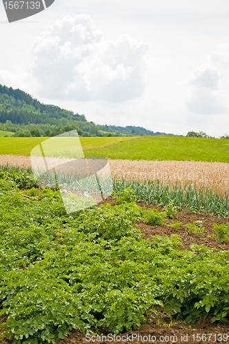 Image of agriculture
