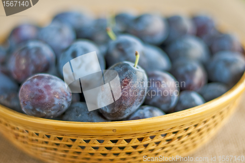 Image of damson