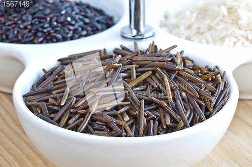 Image of wild rice