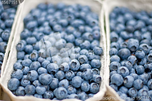Image of blueberry