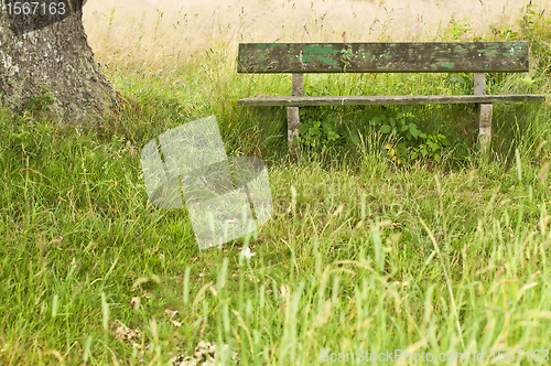 Image of park bench