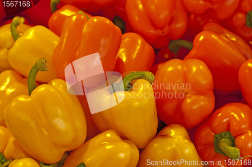 Image of pepper yellow