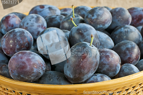 Image of damson