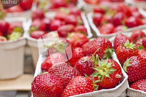 Image of strawberry