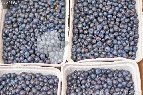 Image of blueberry