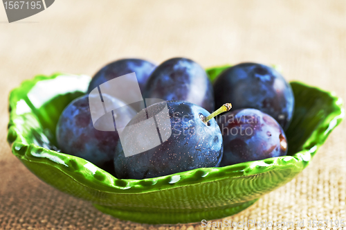 Image of damson