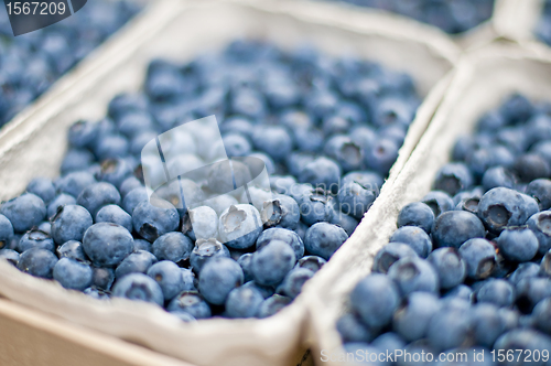 Image of blueberry
