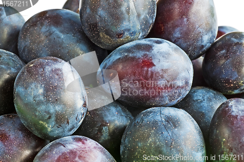 Image of damson