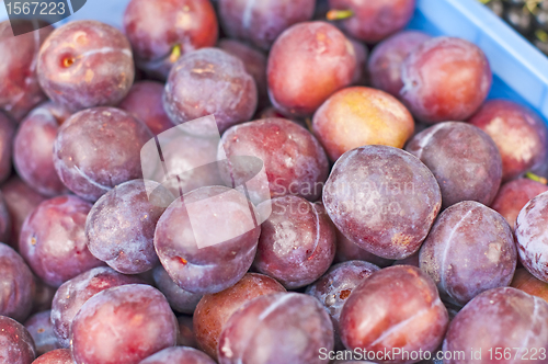 Image of damson