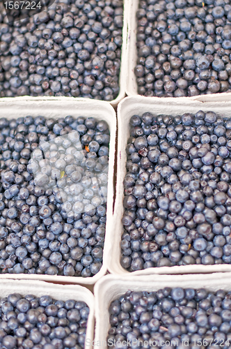 Image of blueberry