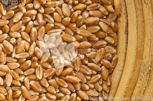 Image of wheat