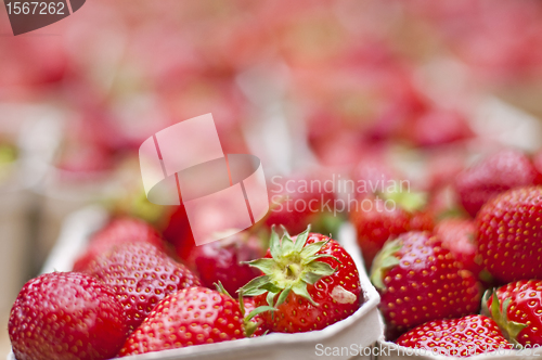 Image of strawberry